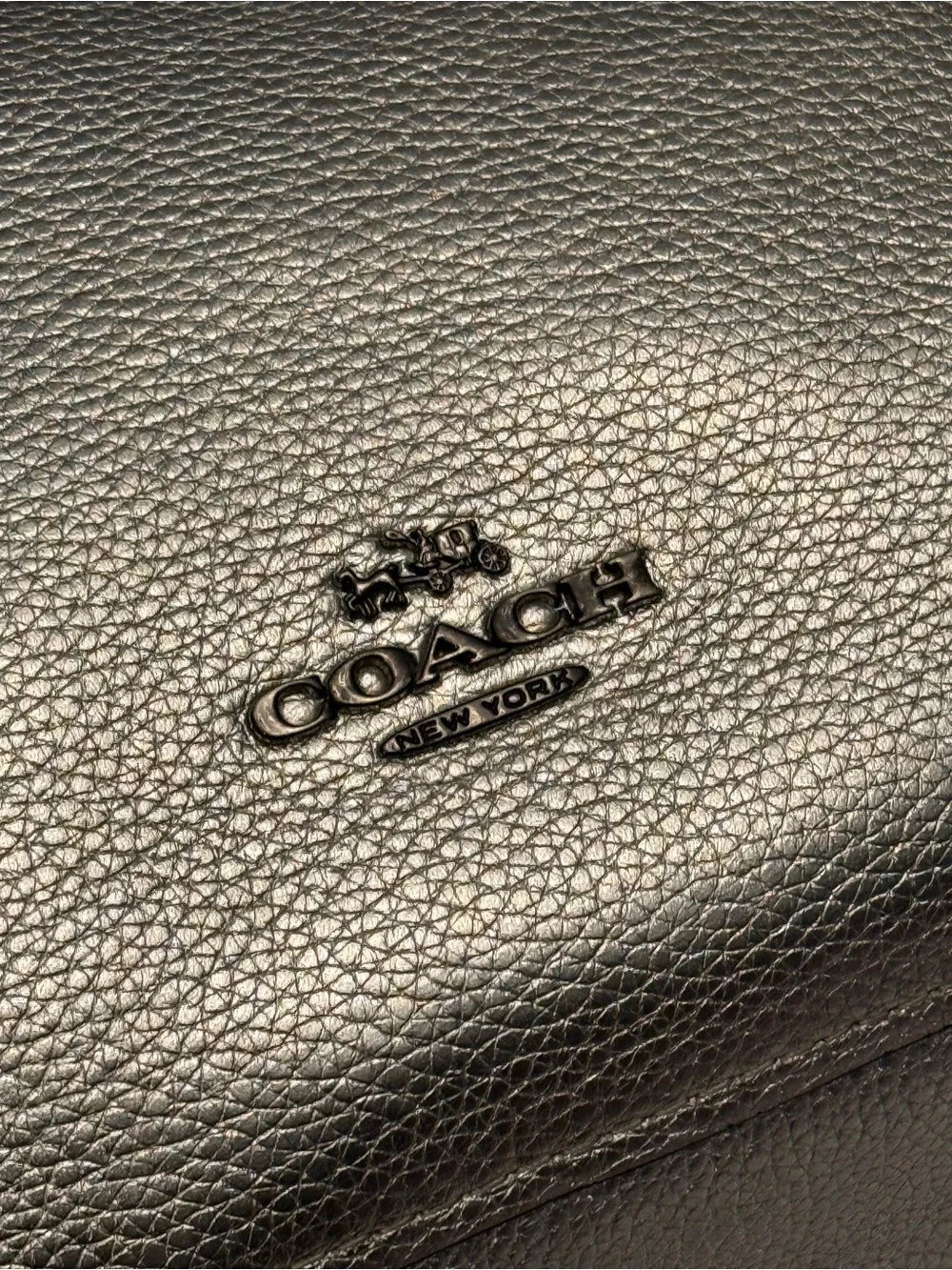 Coach Metallic Chelsea Crossbody